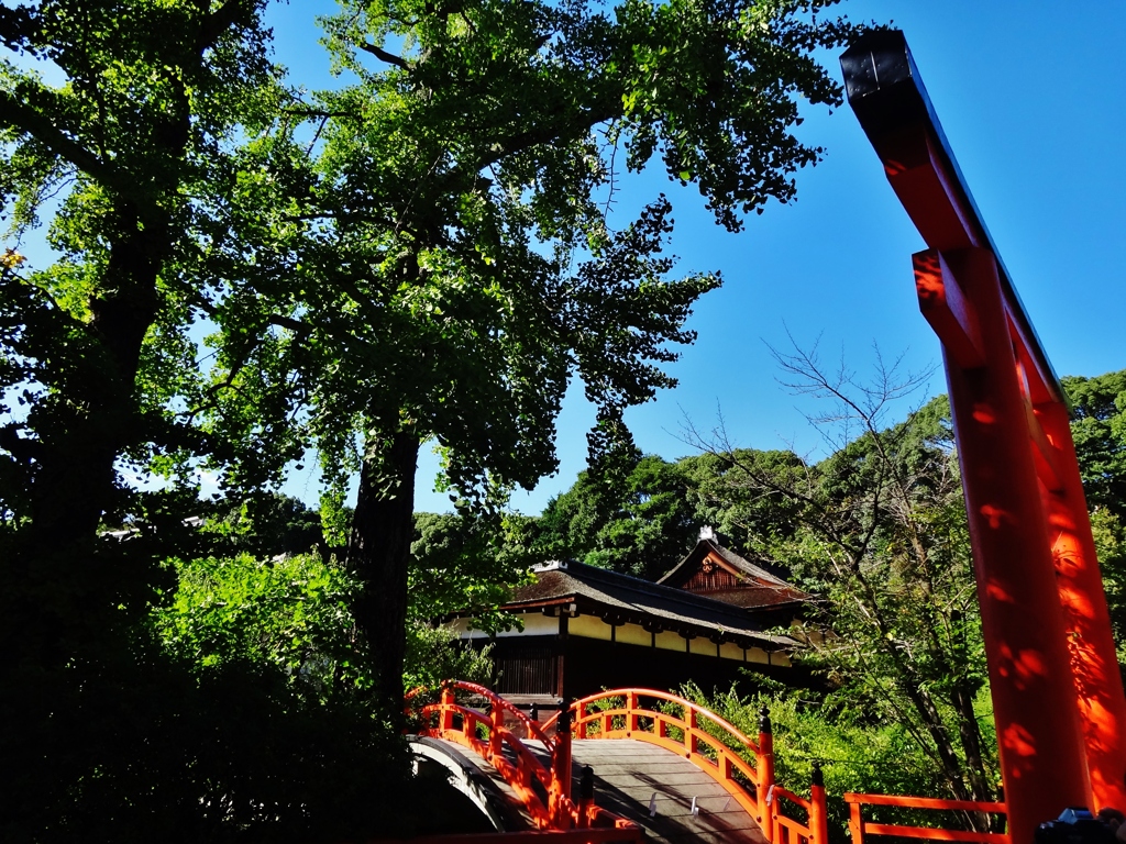 第千九百二十六作　　「晴れて　しづかな　赤鳥居」　京都府京都