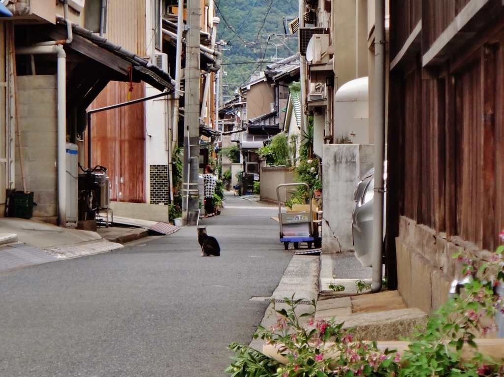 第九百五十八作　　「ふ、と思ふところが　港町の猫の背中に」　広島県鞆　