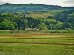 第三千二百二十八作　「植え終へて　汽車の風切る　水田かな」　山形県鶴岡