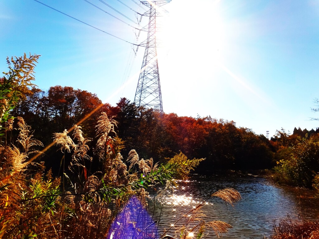 第四千百六十二作　「陽のひかり　嬉しい季節となり　鉄塔」　福島県南相馬