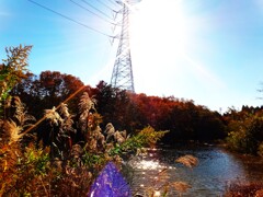 第四千百六十二作　「陽のひかり　嬉しい季節となり　鉄塔」　福島県南相馬