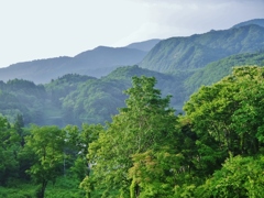 第四千二十六作　「山の朝を吸ふ」　秋田県木地山