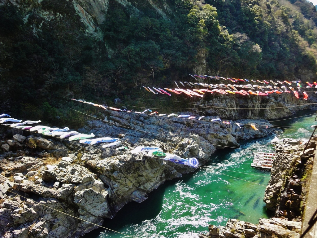 第二千百二十六作　「瀧川に　影流せしや　鯉のぼり」　徳島県大歩危