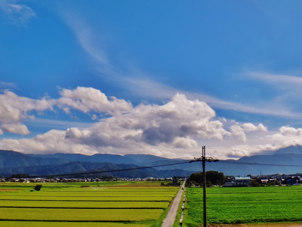 第三千三百六十三作　「道まつすぐに　間もなく刈らるる　田を惜しむ」　滋賀県長浜
