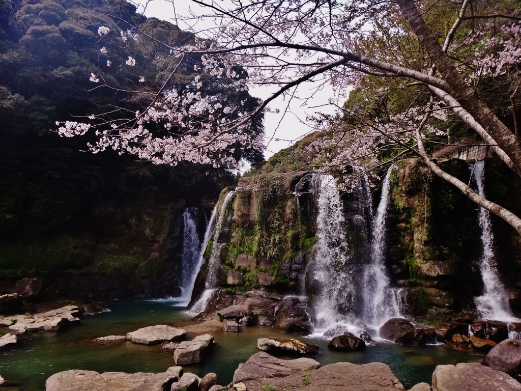 第千三百七十一作　　「水音　誘はるるがままに　己が脚」　鹿児島県曽於