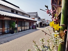 第二千九十四作　「投げ入れも　賑やいで　もうつばくろが」　徳島県美馬