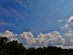 第千百五十九作　　「夏の名残の　雲を追ふ」　愛知県岡崎