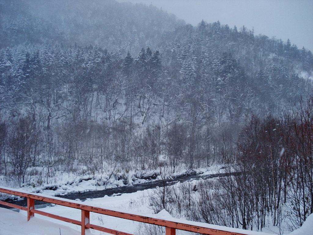 第八百九十七作　　「吹き付く雪に　いきなり冬を　思い知らさる」　北海道小樽内