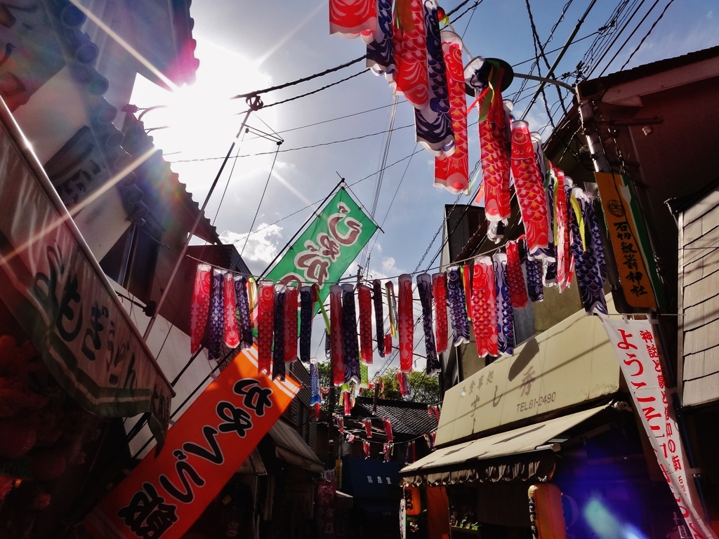 第六百七十一作　　「商店街のこいのぼりへ　午后の陽優しく」　大阪府石切