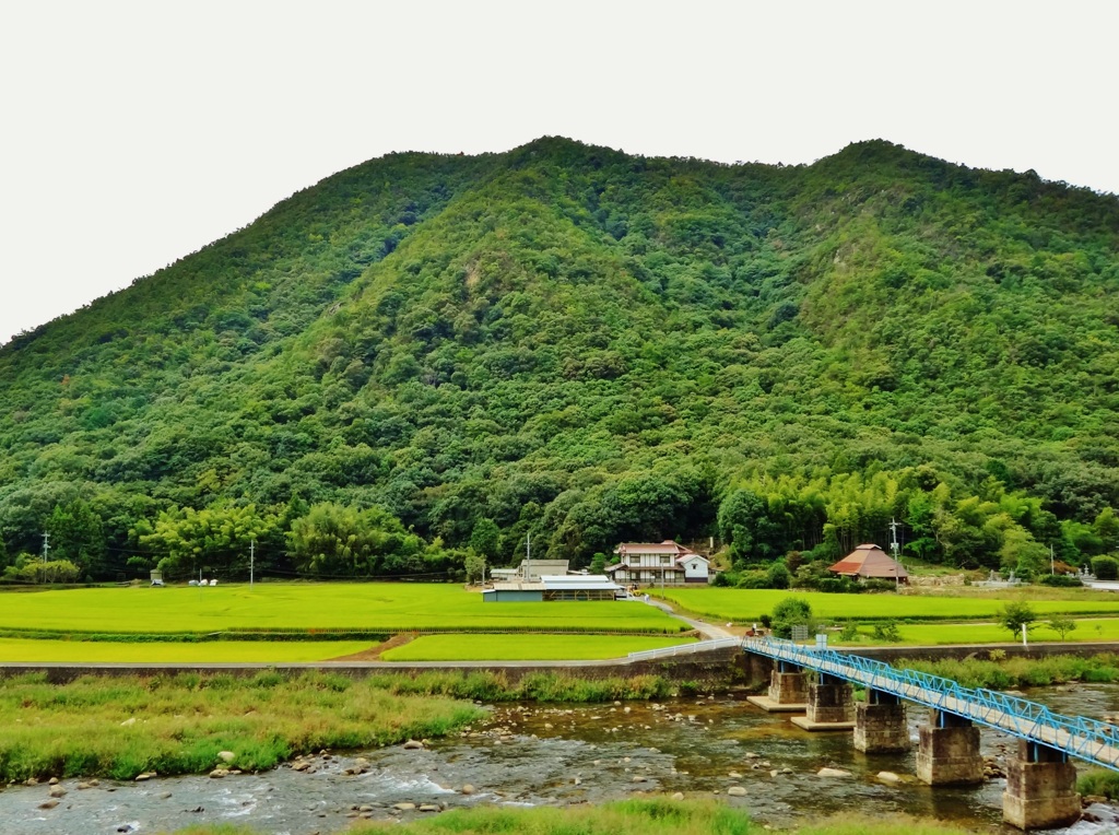 第三千三百五十八作　「石橋渡る　ぶつぶつ　俯いてゐて」　広島県本郷