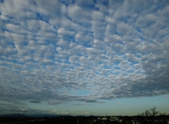 第八百六十一作　　「見上げれば　空いつぱいの　いわし雲」　静岡県天竜　