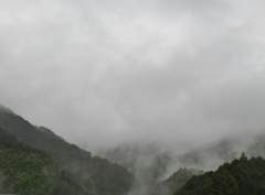 第三千四百三十五作　「時雨るるや　けぶる山の端　泥濘を踏み」　静岡県富士宮