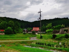 第三千九百九十八作　「梅雨空を　見あげて独り　田んぼ路」　山口県美祢