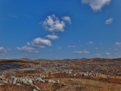 第千三百七十六作　　「風が風を　吹き抜くままに　まかせる」　山口県秋吉