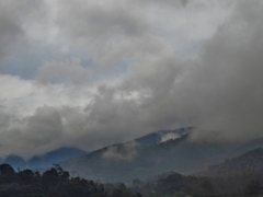 第二千十一作　　「雲の途切るるを　ひたすらに堪え忍ぶ」　三重県亀山