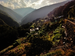 第八百四十九作　　「ひとえに　秋の寂しさは　日の暮れ」　埼玉県栃本