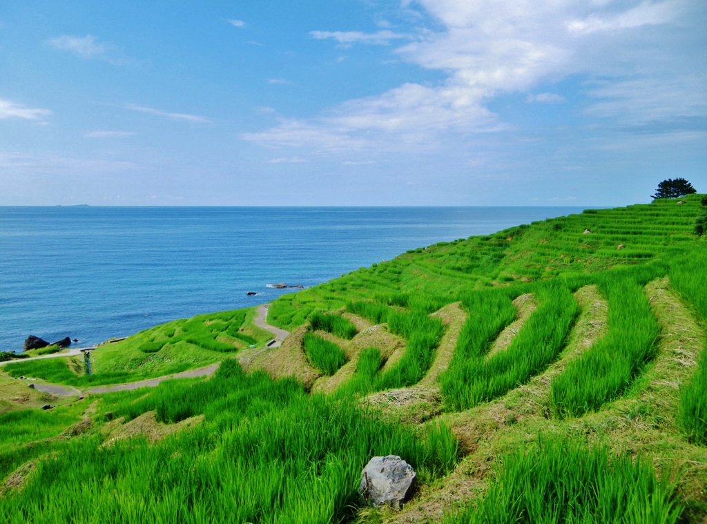 第二千五百七十二作　「畔に腰を　そのさきの海」　石川県輪島