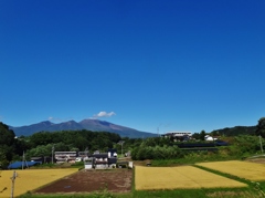 第千五百四十八作　　「蕎麦を手繰る　すつからかんと　浅間をまへに」　長野県岩村田