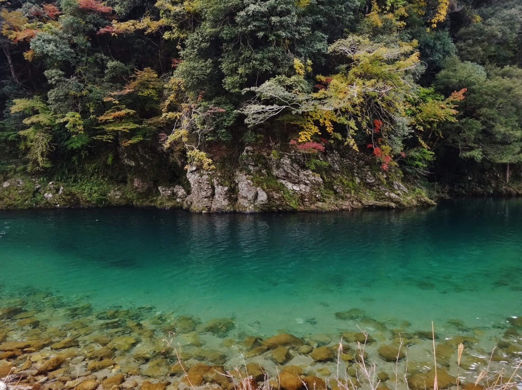 第千二百二十作　　「秋の深まりは　淵の深まりへ　網を打つ」　静岡県浦川