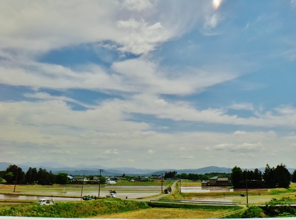 第三千五百九十八作　「いつせいに　稲植へらるる　ほととぎす」　岩手県紫波