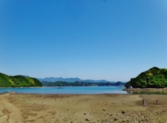 第三千九百九十作　「じつとしてゐる　潮時を待つ」　和歌山県太地