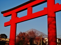 第二千三百九十一作　「赤鳥居　その向かうの　富士がどつかり」　静岡県富士宮