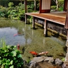 第三千五百五十五作　「澄んで溢るる　水を聴く」　長崎県島原
