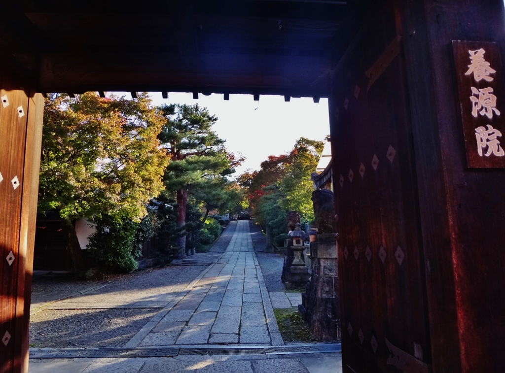 第二千七百十八作　「朝の参道　塵ひとつ無し」　京都府京都