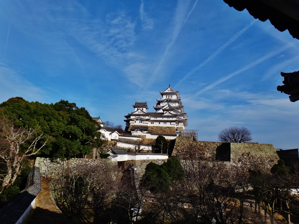 第二千三百四十八作　「蒼天まこと　真白くひかる　白鷺の城」　兵庫県姫路