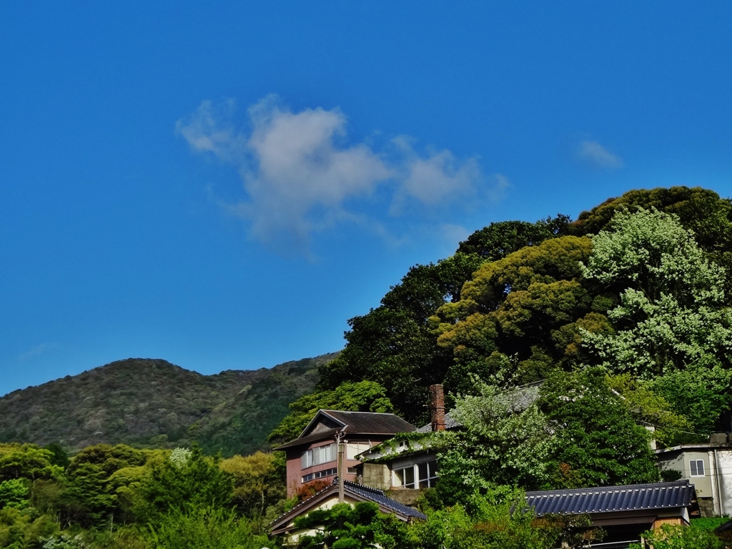 第六百九十二作　　「湯あがりのからだへ　晩春の陽浴びせ」　山口県川棚