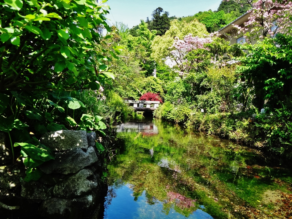 第七百二十八作　　「そこに涼しい流れが　旅の足浸す」　滋賀県醒ヶ井