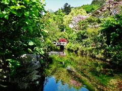 第七百二十八作　　「そこに涼しい流れが　旅の足浸す」　滋賀県醒ヶ井
