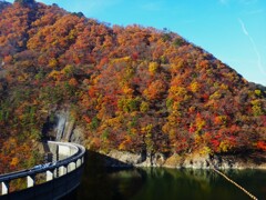 第四千百三十九作　「ダム脇を　捲いて登りて　山の彩り」　宮城県鳴子