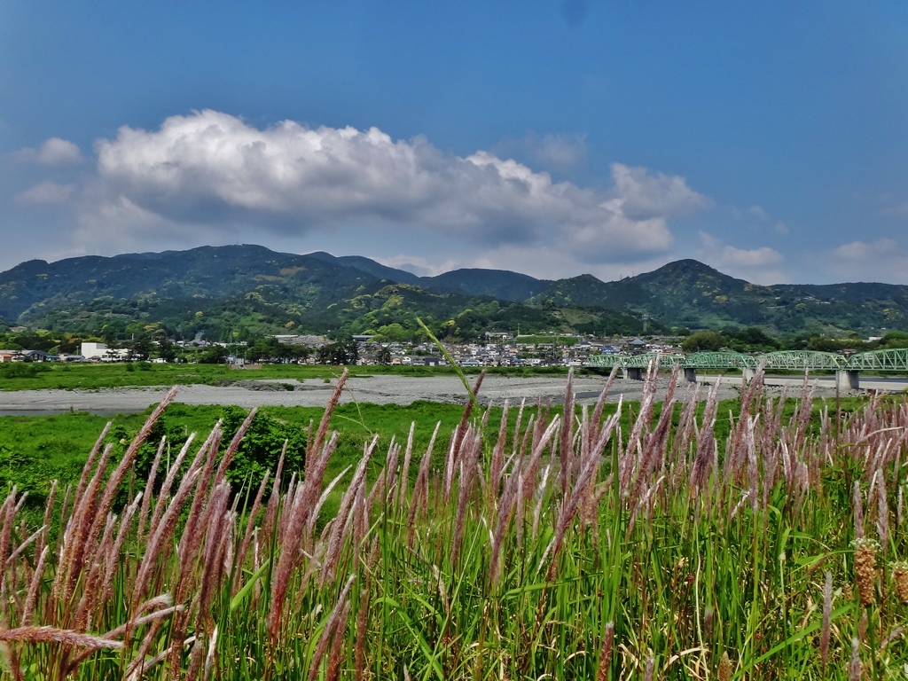第千七百九十四作　　「草を枕に　川風を受く」　　静岡県富士