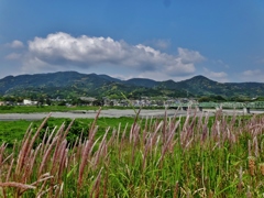 第千七百九十四作　　「草を枕に　川風を受く」　　静岡県富士