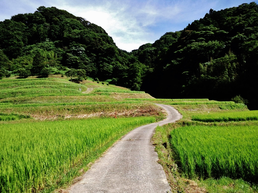 第千百三十二作　　「曲がれる路は　曲がれるままに　あゆむ」　千葉県鴨川