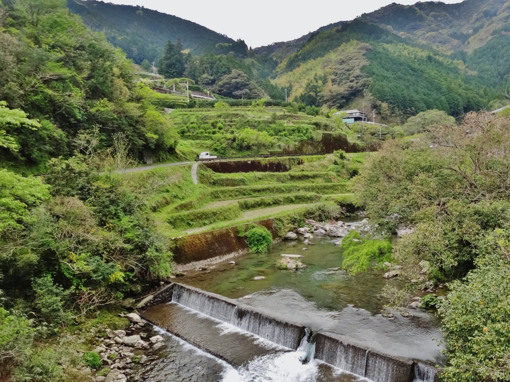 第二千百二十四作　「たけのこ掘られて　山から里へ」　高知県土佐山