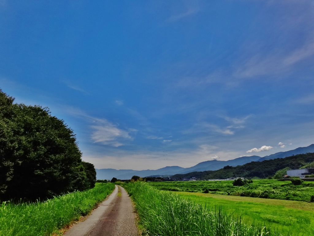 第四千三十一作　「夏帽子　被り直すや　己が影」　山梨県中巨摩