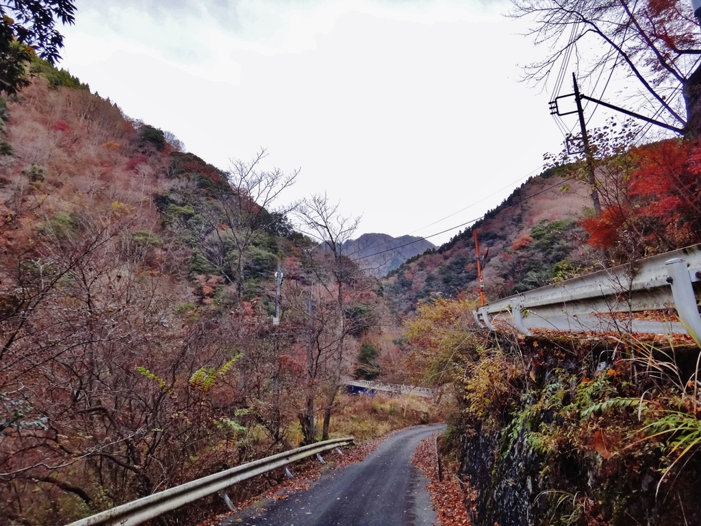 第三千八百十四作　「朝冷えし　別れた路は　沢に伝うて」　神奈川県山北