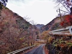 第三千八百十四作　「朝冷えし　別れた路は　沢に伝うて」　神奈川県山北