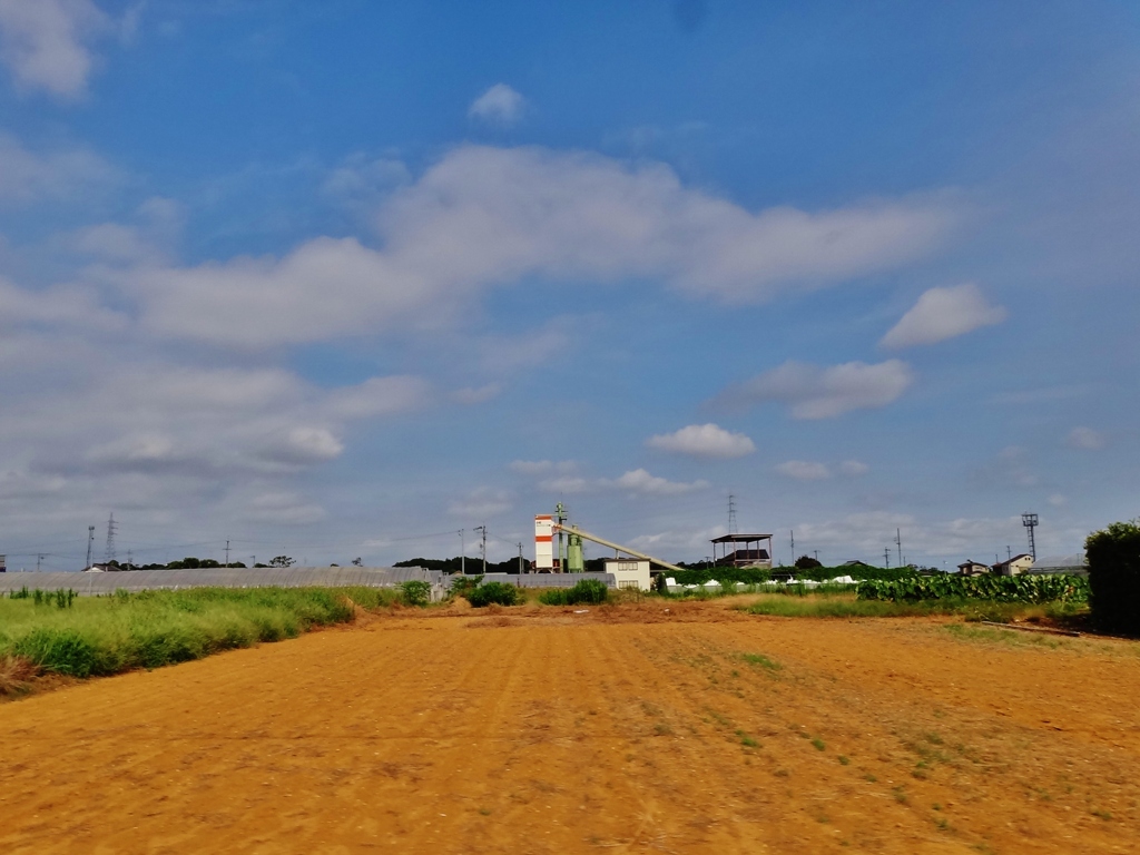 第千八百五十八作　　「なつかしさは　土の赤さの　遠州にゐる」　静岡県都田