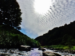 第八百十九作　　「振り仰ひで　秋空だつた」　山形県鶴岡