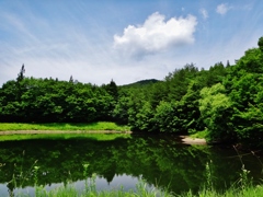 第三千六百三十五作　「池のしづかさは　繁れる夏草」　福島県飯館