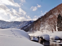 第三千百四十二作　「河へおりれば　雪に何やら　足あと残し」　福井県和泉