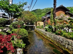 第千四百六十五作　　「炎天の　清い流れが　わが脚浸す」　滋賀県醒ヶ井