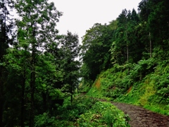 第二千六百四十一作　「山路　時雨るる　ふり向かば　葉擦れ」　秋田県木地山