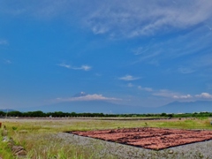 第三千六百二十八作「干しえび干さるる　富士にたなびく　雲のひとすぢ」　静岡県富士