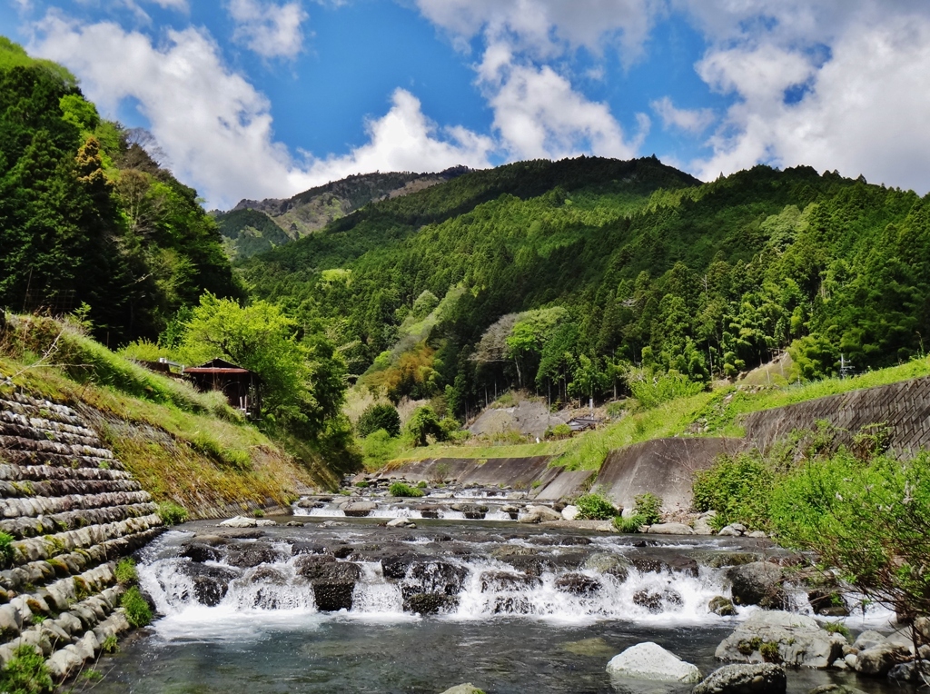 第二千百二十五作　「雲影ほどよく　水涼やかにして　若葉」　山梨県南部