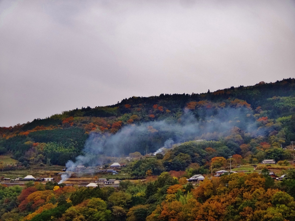 第三千八百十六作　「冬迫る　野焼き盛んに　山際たな引く」　徳島県三好