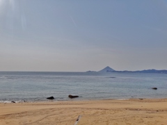 第三千百四十七作　「砂がこぼるる　海を挟んで　開聞の影」　鹿児島県根占